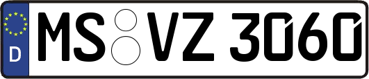 MS-VZ3060
