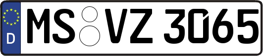 MS-VZ3065