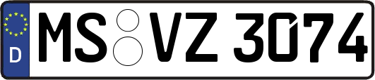 MS-VZ3074