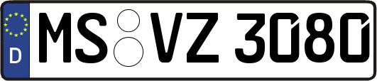 MS-VZ3080