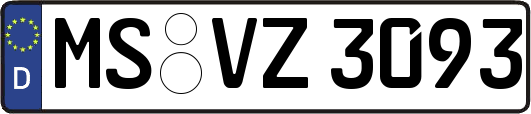 MS-VZ3093