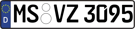 MS-VZ3095