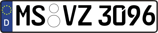 MS-VZ3096