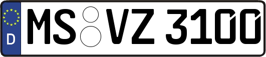 MS-VZ3100