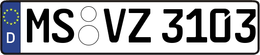 MS-VZ3103