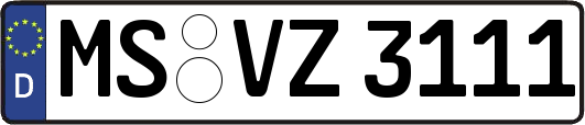 MS-VZ3111