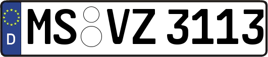MS-VZ3113