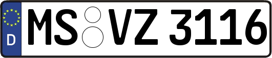 MS-VZ3116