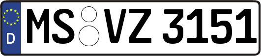 MS-VZ3151