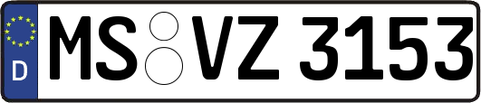 MS-VZ3153