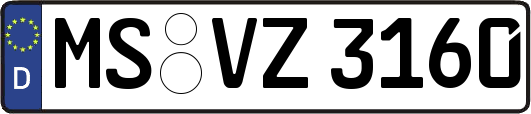 MS-VZ3160