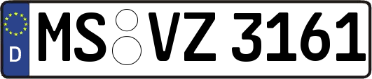 MS-VZ3161