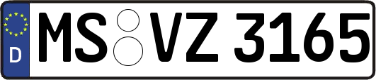 MS-VZ3165