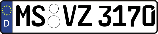 MS-VZ3170