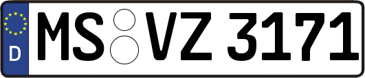 MS-VZ3171