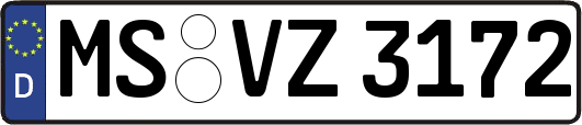 MS-VZ3172