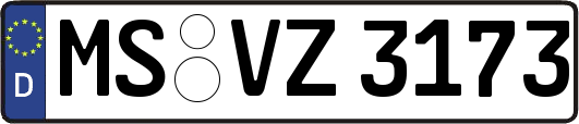 MS-VZ3173