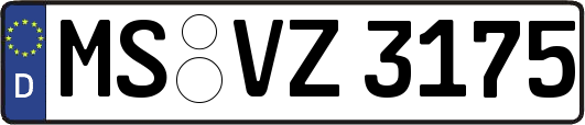 MS-VZ3175