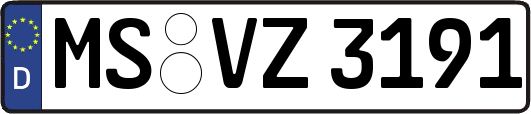 MS-VZ3191