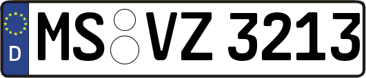 MS-VZ3213
