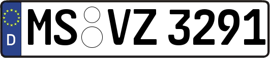 MS-VZ3291