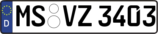 MS-VZ3403