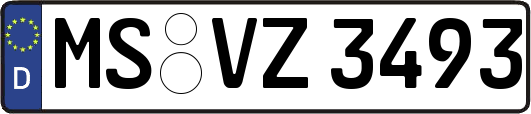 MS-VZ3493
