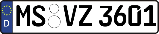 MS-VZ3601