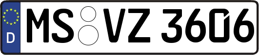 MS-VZ3606