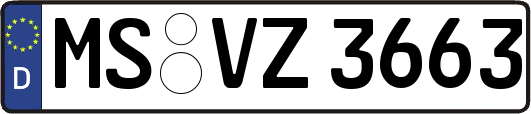 MS-VZ3663