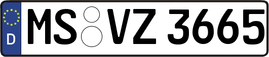 MS-VZ3665