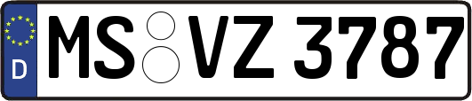 MS-VZ3787