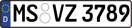 MS-VZ3789