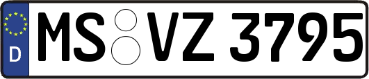 MS-VZ3795