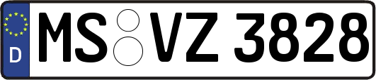 MS-VZ3828