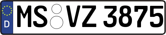 MS-VZ3875