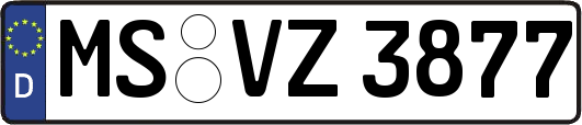 MS-VZ3877