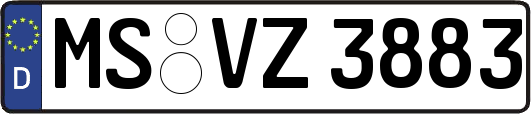 MS-VZ3883