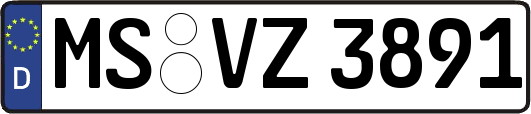 MS-VZ3891