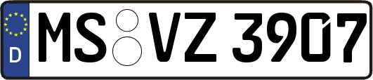 MS-VZ3907
