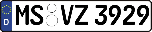 MS-VZ3929