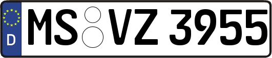 MS-VZ3955