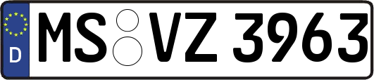 MS-VZ3963