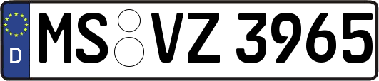MS-VZ3965