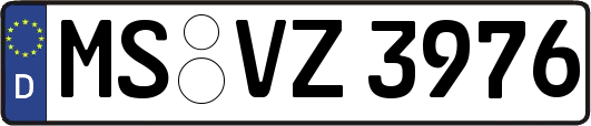 MS-VZ3976