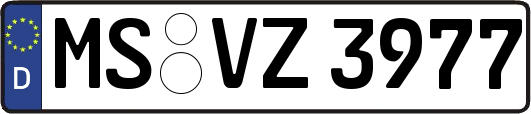 MS-VZ3977