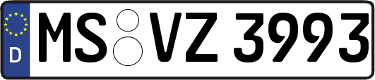 MS-VZ3993