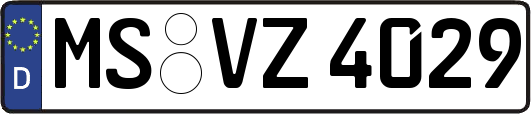 MS-VZ4029