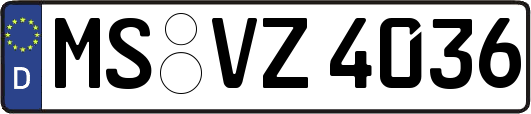 MS-VZ4036