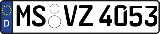 MS-VZ4053